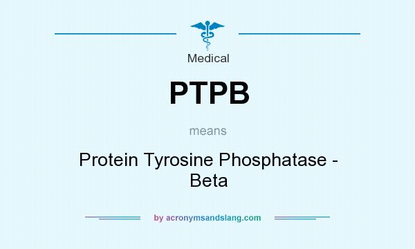 What does PTPB mean? It stands for Protein Tyrosine Phosphatase - Beta