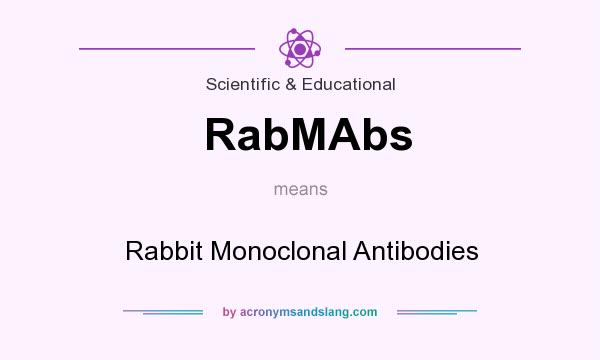 What does RabMAbs mean? It stands for Rabbit Monoclonal Antibodies