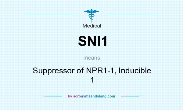 What does SNI1 mean? It stands for Suppressor of NPR1-1, Inducible 1