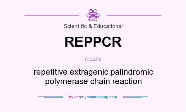 What does REPPCR mean? It stands for repetitive extragenic palindromic polymerase chain reaction