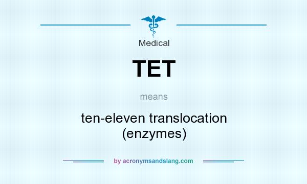 What does TET mean? It stands for ten-eleven translocation (enzymes)
