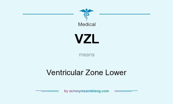 What does VZL mean? It stands for Ventricular Zone Lower