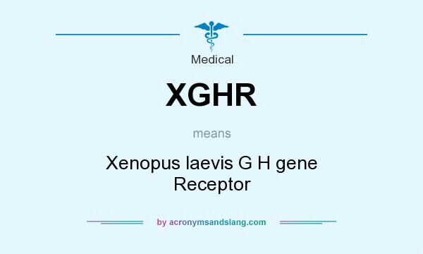 What does XGHR mean? It stands for Xenopus laevis G H gene Receptor