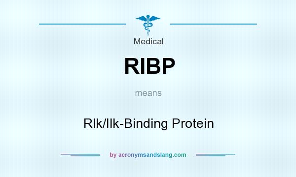 What does RIBP mean? It stands for Rlk/Ilk-Binding Protein