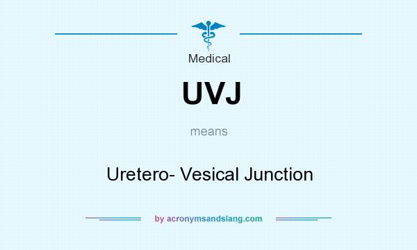 What does UVJ mean? It stands for Uretero- Vesical Junction