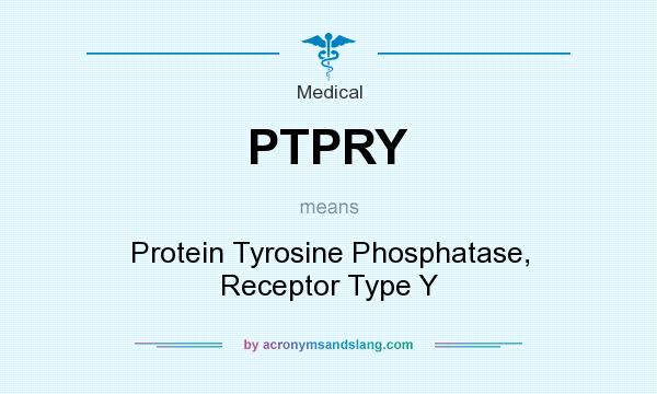 What does PTPRY mean? It stands for Protein Tyrosine Phosphatase, Receptor Type Y