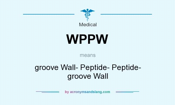 What does WPPW mean? It stands for groove Wall- Peptide- Peptide- groove Wall
