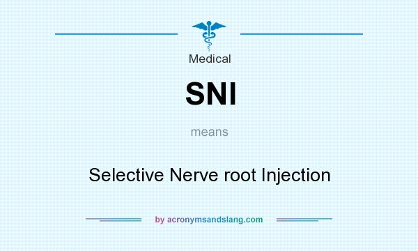 What does SNI mean? It stands for Selective Nerve root Injection