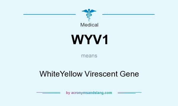 What does WYV1 mean? It stands for WhiteYellow Virescent Gene