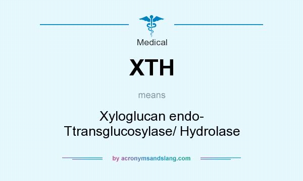 What does XTH mean? It stands for Xyloglucan endo- Ttransglucosylase/ Hydrolase