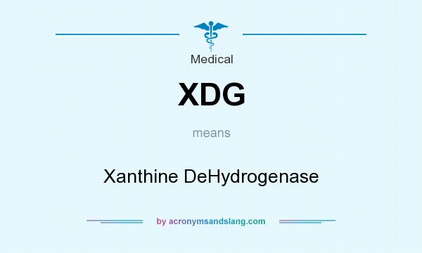 What does XDG mean? It stands for Xanthine DeHydrogenase