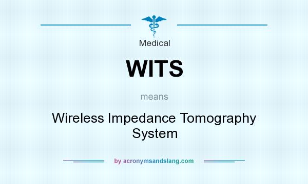 What does WITS mean? It stands for Wireless Impedance Tomography System