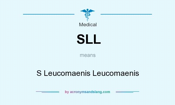 What does SLL mean? It stands for S Leucomaenis Leucomaenis
