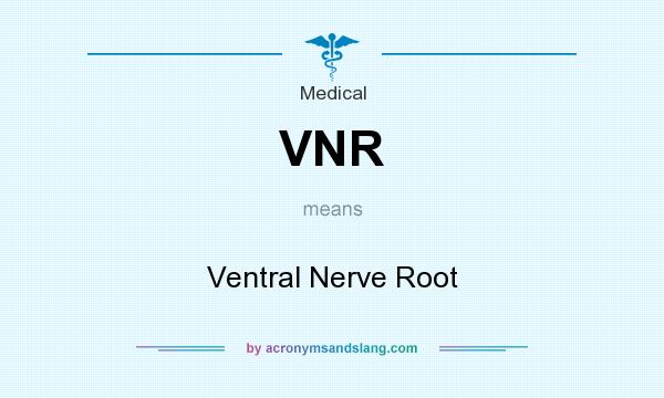 What does VNR mean? It stands for Ventral Nerve Root