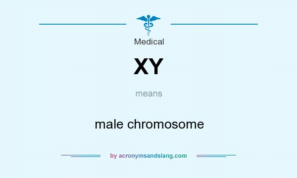 What does XY mean? It stands for male chromosome
