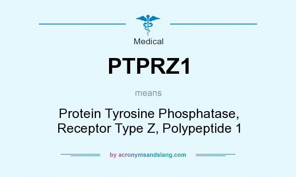 What does PTPRZ1 mean? It stands for Protein Tyrosine Phosphatase, Receptor Type Z, Polypeptide 1