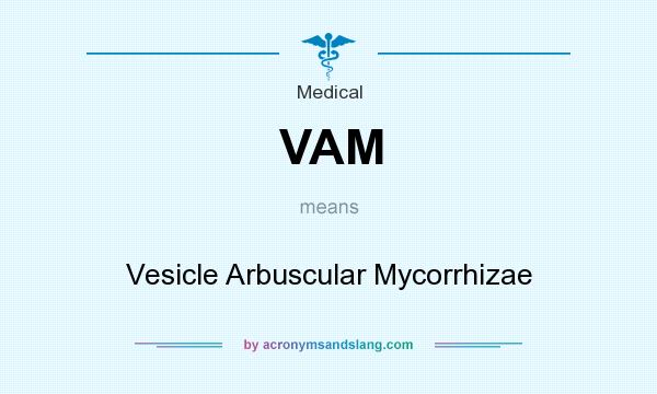 What does VAM mean? It stands for Vesicle Arbuscular Mycorrhizae