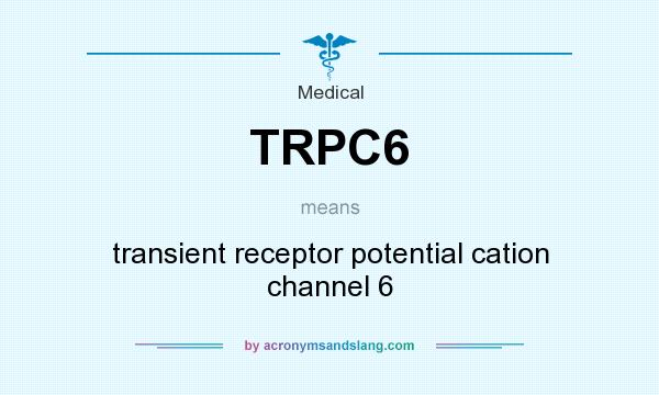 What does TRPC6 mean? It stands for transient receptor potential cation channel 6