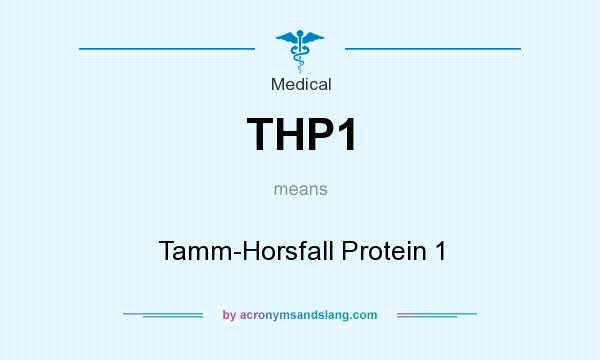 What does THP1 mean? It stands for Tamm-Horsfall Protein 1