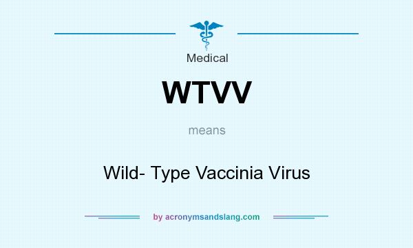 What does WTVV mean? It stands for Wild- Type Vaccinia Virus