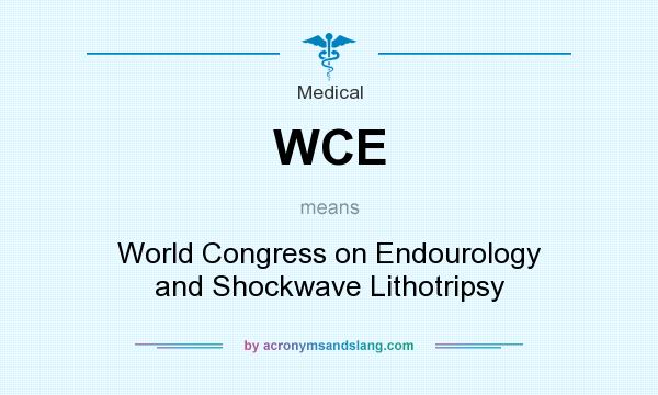 What does WCE mean? It stands for World Congress on Endourology and Shockwave Lithotripsy
