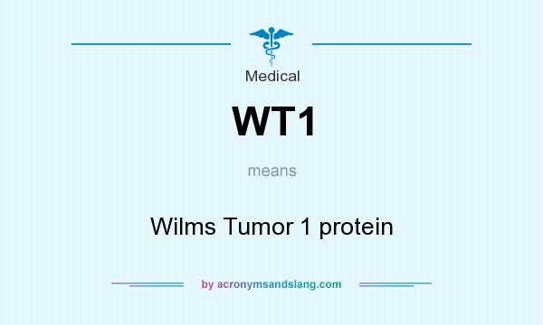 What does WT1 mean? It stands for Wilms Tumor 1 protein