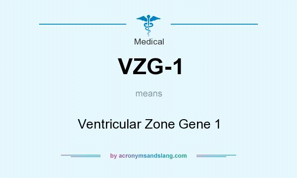What does VZG-1 mean? It stands for Ventricular Zone Gene 1