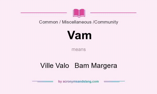 What does Vam mean? It stands for Ville Valo   Bam Margera