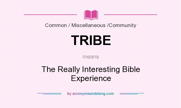 What does TRIBE mean? It stands for The Really Interesting Bible Experience