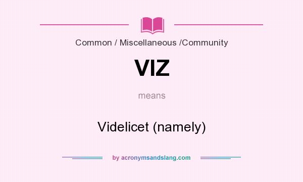 What does VIZ mean? It stands for Videlicet (namely)