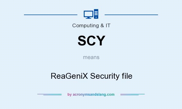 What does SCY mean? It stands for ReaGeniX Security file
