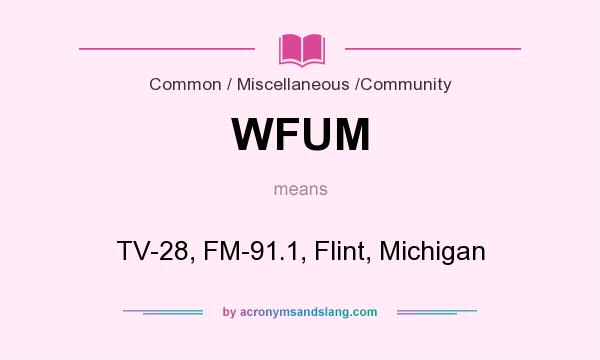 What does WFUM mean? It stands for TV-28, FM-91.1, Flint, Michigan