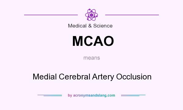 What does MCAO mean? It stands for Medial Cerebral Artery Occlusion