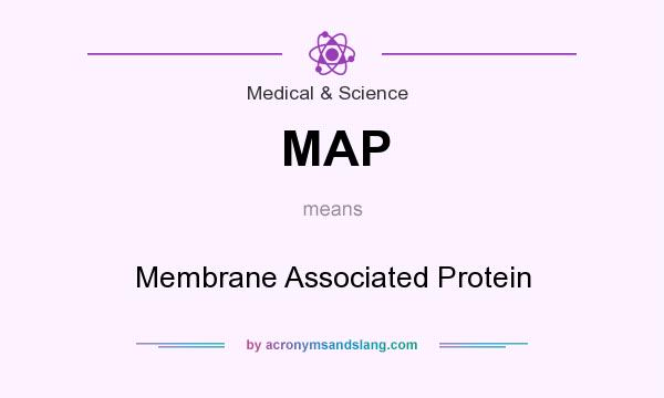 What does MAP mean? It stands for Membrane Associated Protein