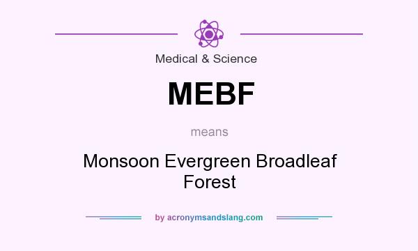 What does MEBF mean? It stands for Monsoon Evergreen Broadleaf Forest