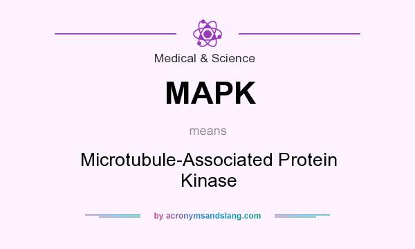 What does MAPK mean? It stands for Microtubule-Associated Protein Kinase