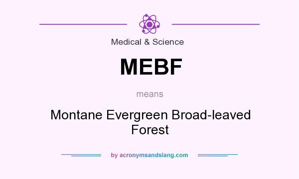 What does MEBF mean? It stands for Montane Evergreen Broad-leaved Forest