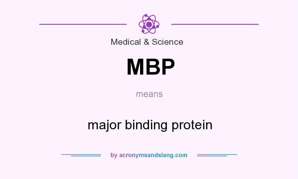What does MBP mean? It stands for major binding protein