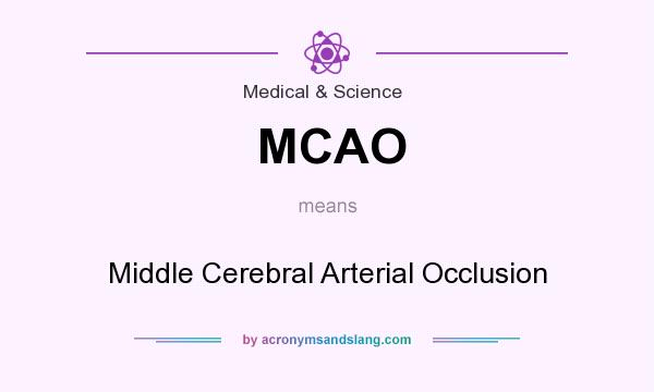 What does MCAO mean? It stands for Middle Cerebral Arterial Occlusion