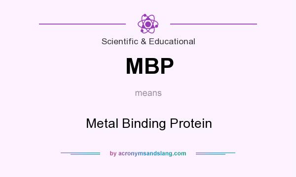 What does MBP mean? It stands for Metal Binding Protein