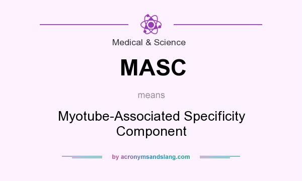 What does MASC mean? It stands for Myotube-Associated Specificity Component
