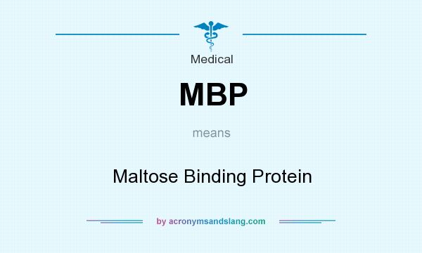 What does MBP mean? It stands for Maltose Binding Protein