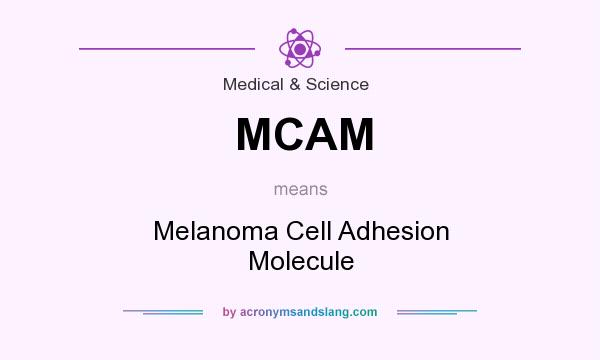 What does MCAM mean? It stands for Melanoma Cell Adhesion Molecule