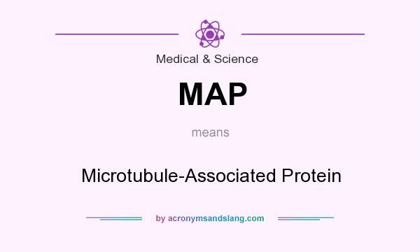 What does MAP mean? It stands for Microtubule-Associated Protein