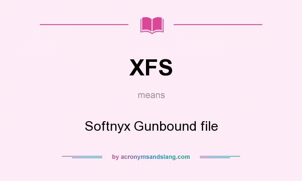 What does XFS mean? It stands for Softnyx Gunbound file