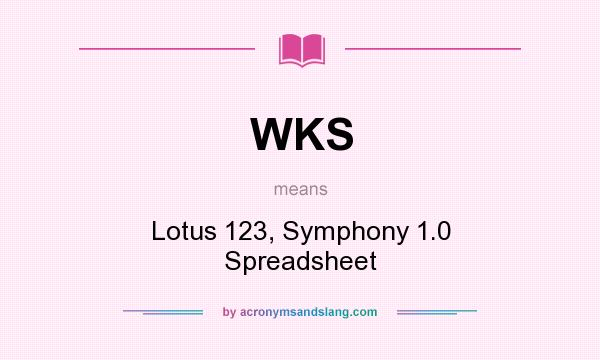 What does WKS mean? It stands for Lotus 123, Symphony 1.0 Spreadsheet