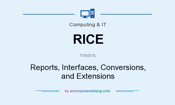 What does RICE mean? It stands for Reports, Interfaces, Conversions, and Extensions