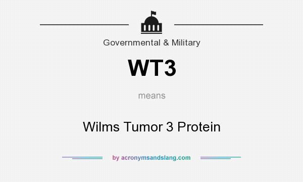What does WT3 mean? It stands for Wilms Tumor 3 Protein