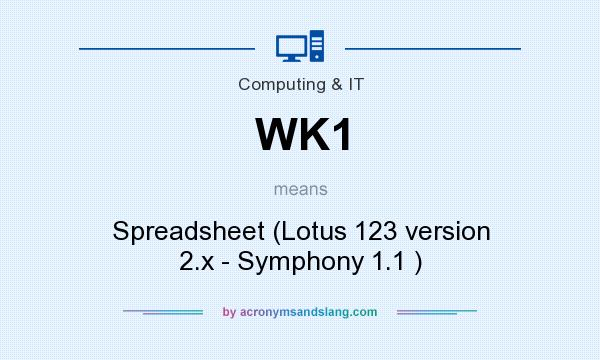 What does WK1 mean? It stands for Spreadsheet (Lotus 123 version 2.x - Symphony 1.1 )