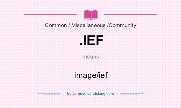 What does .IEF mean? It stands for image/ief